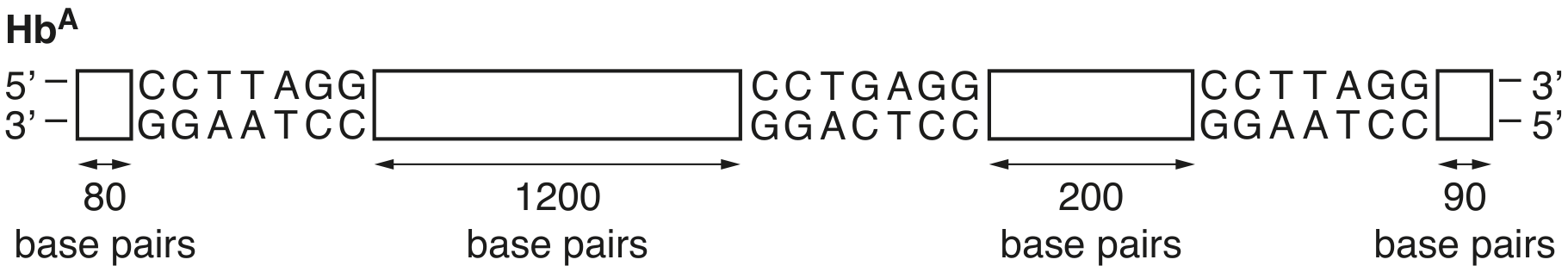 Fig. 3.2