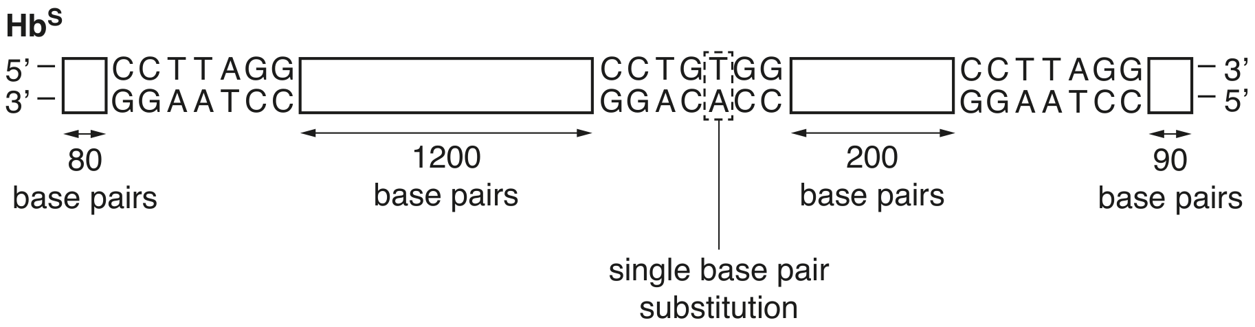 Fig. 3.3