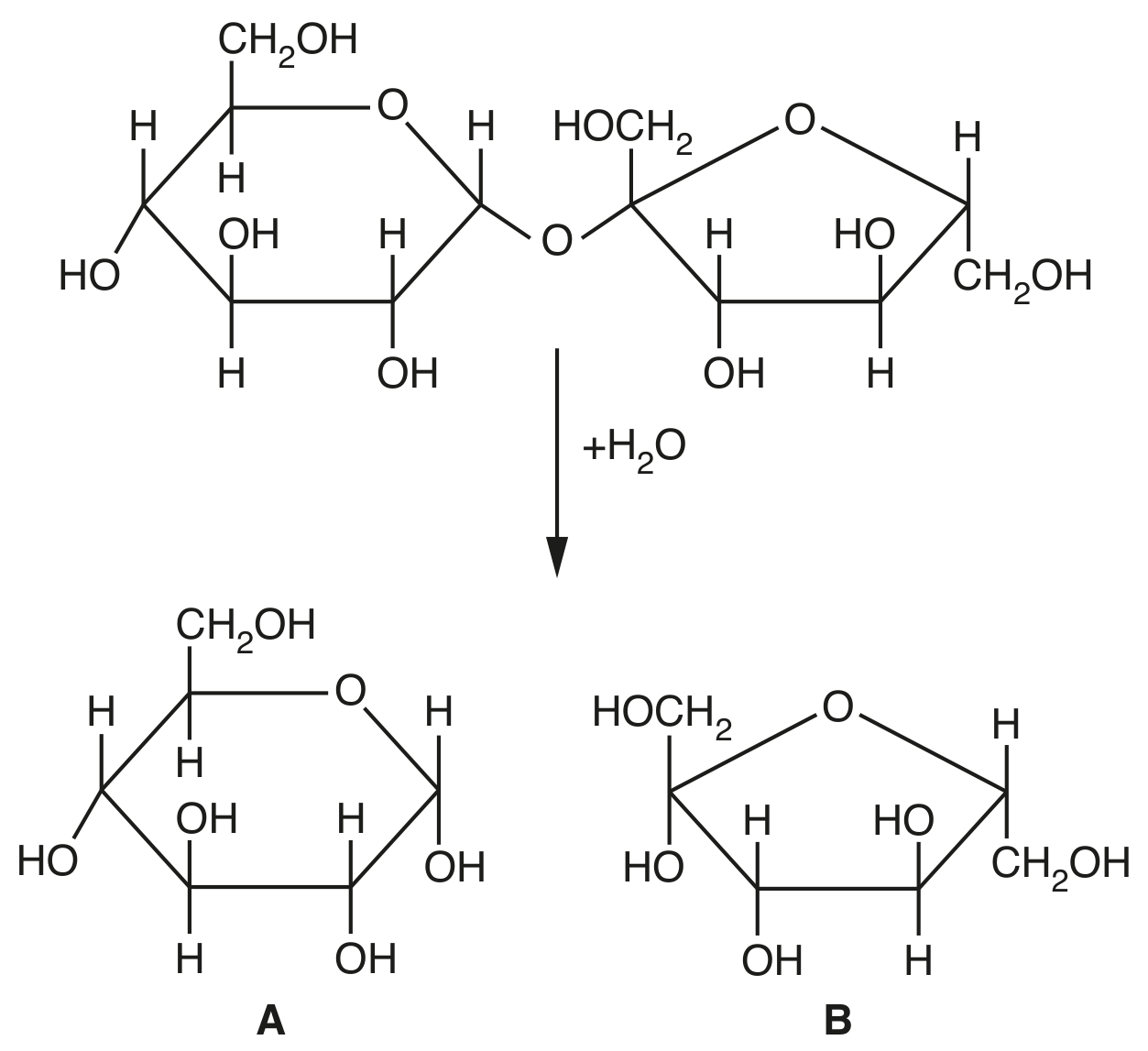 Fig. 2.1