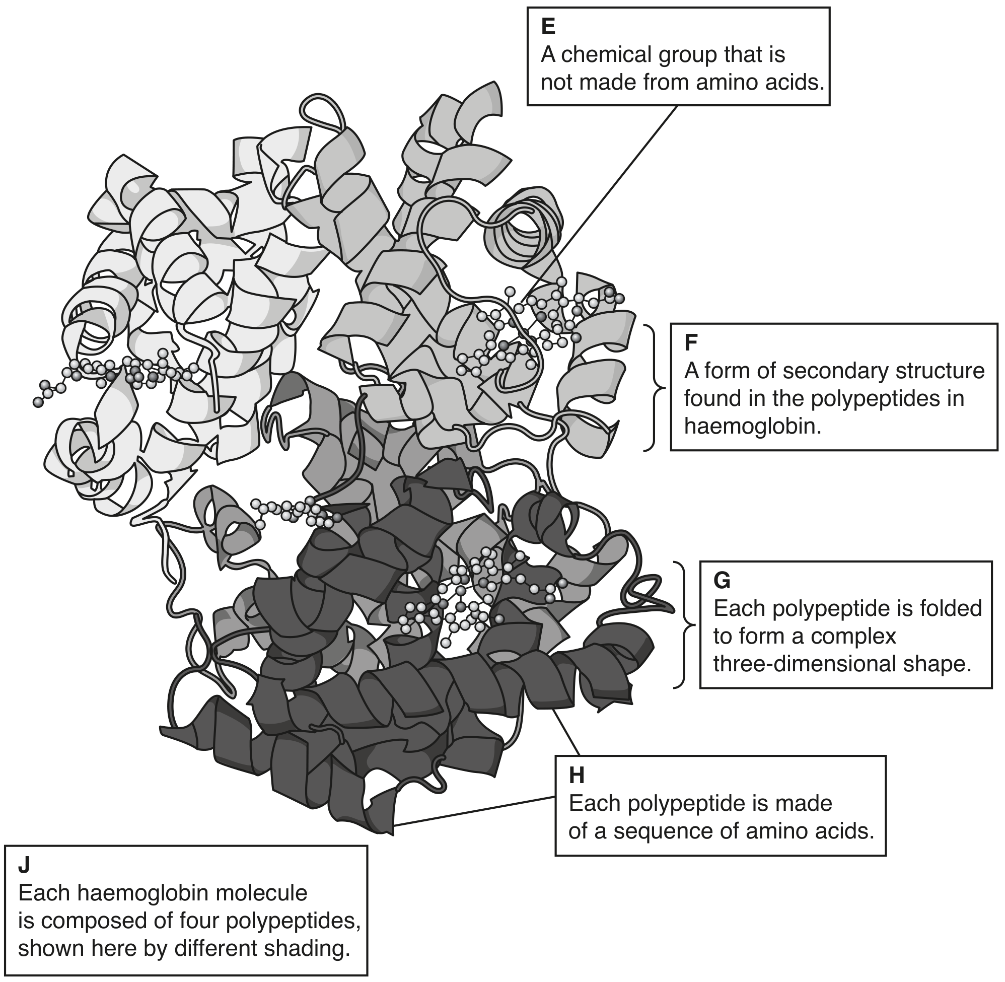 Fig. 4.1
