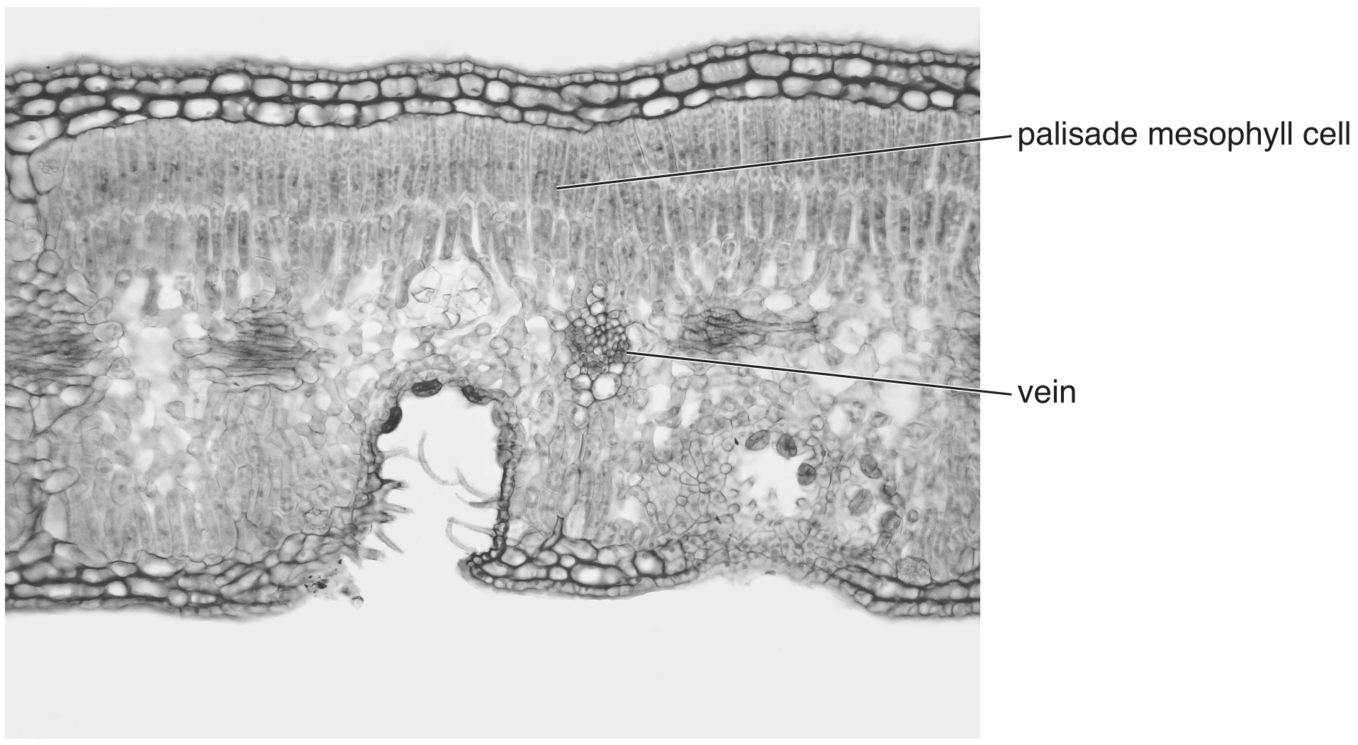 Fig. 3.1