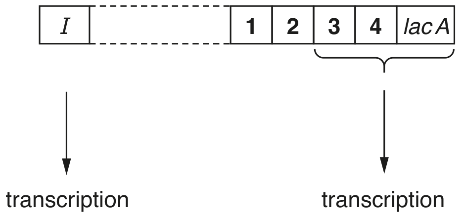 Fig. 3.1