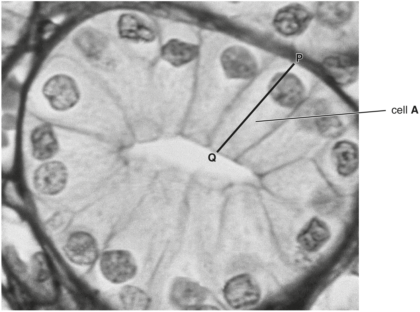 Fig. 4.1