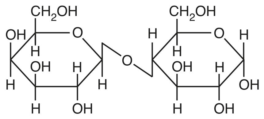 Fig. 2.1