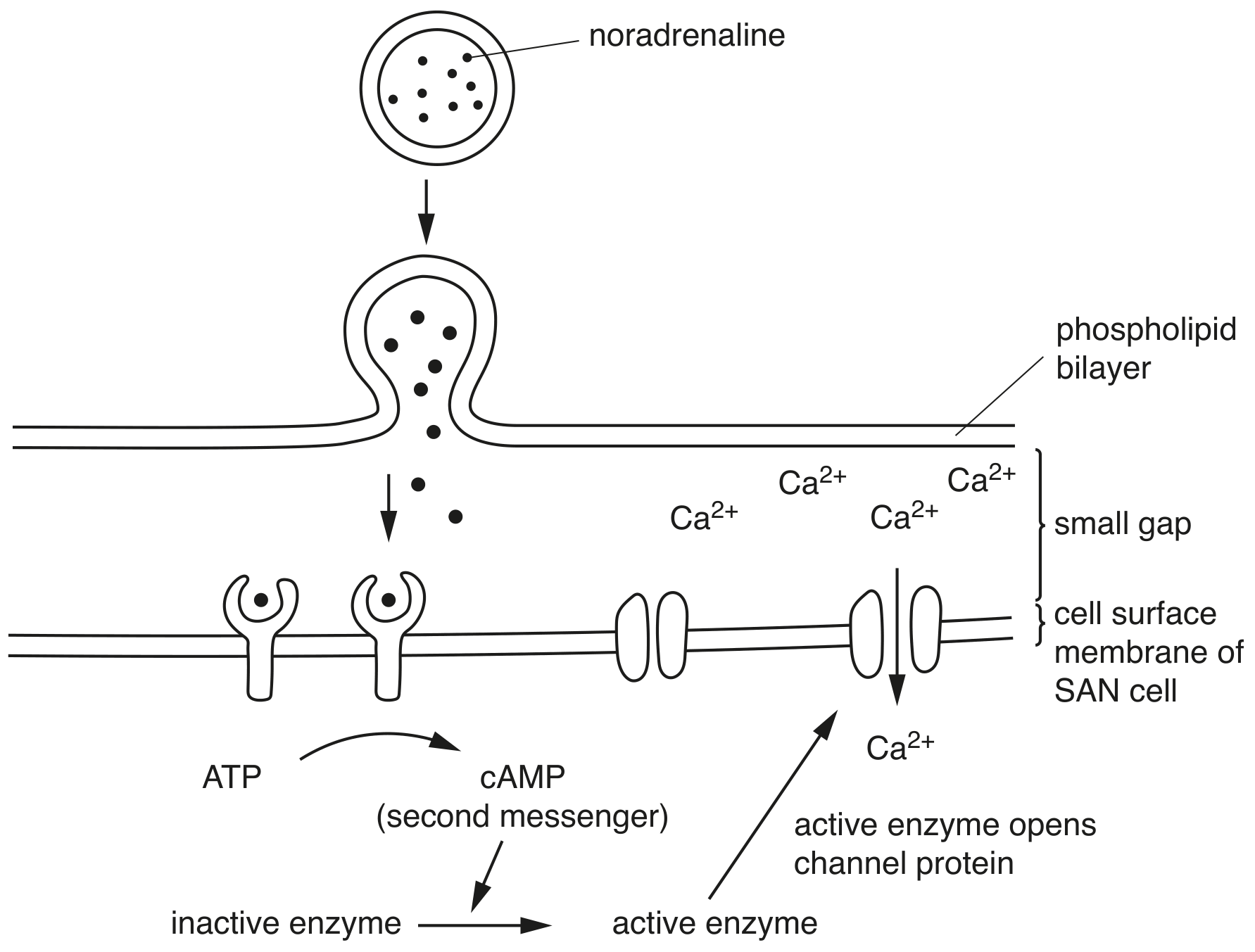 Fig. 4.1
