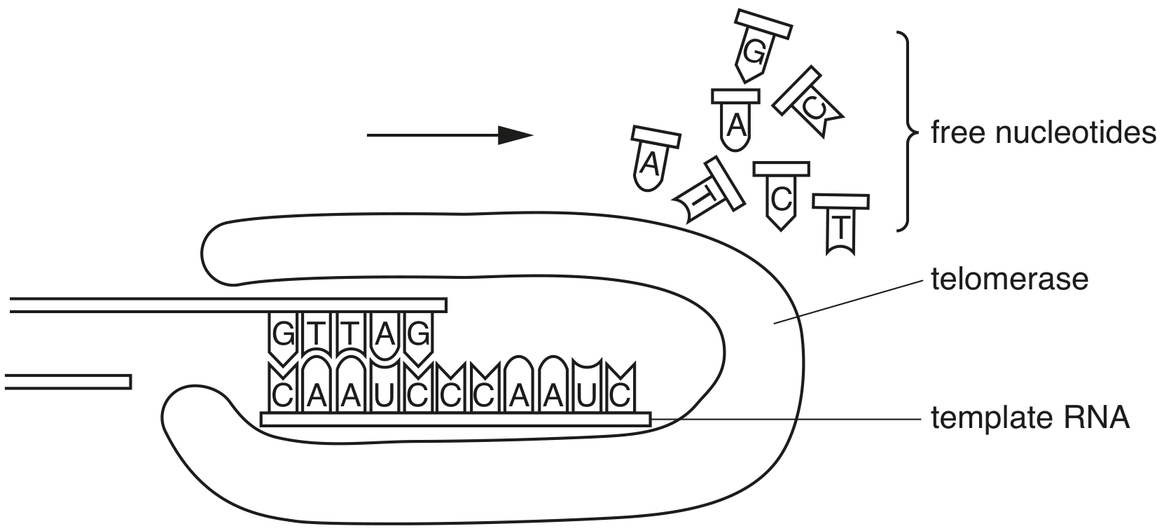 Fig. 3.2