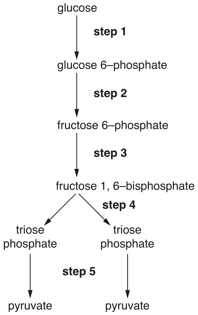 Fig. 6.1