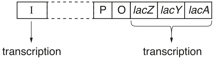 Fig. 6.1