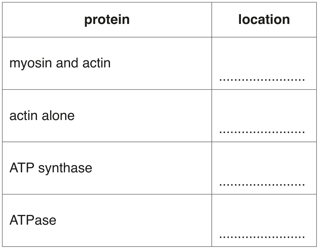 Table 4.1