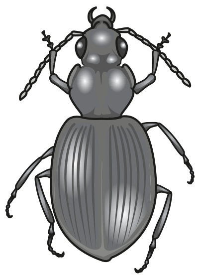 Fig. 4.2