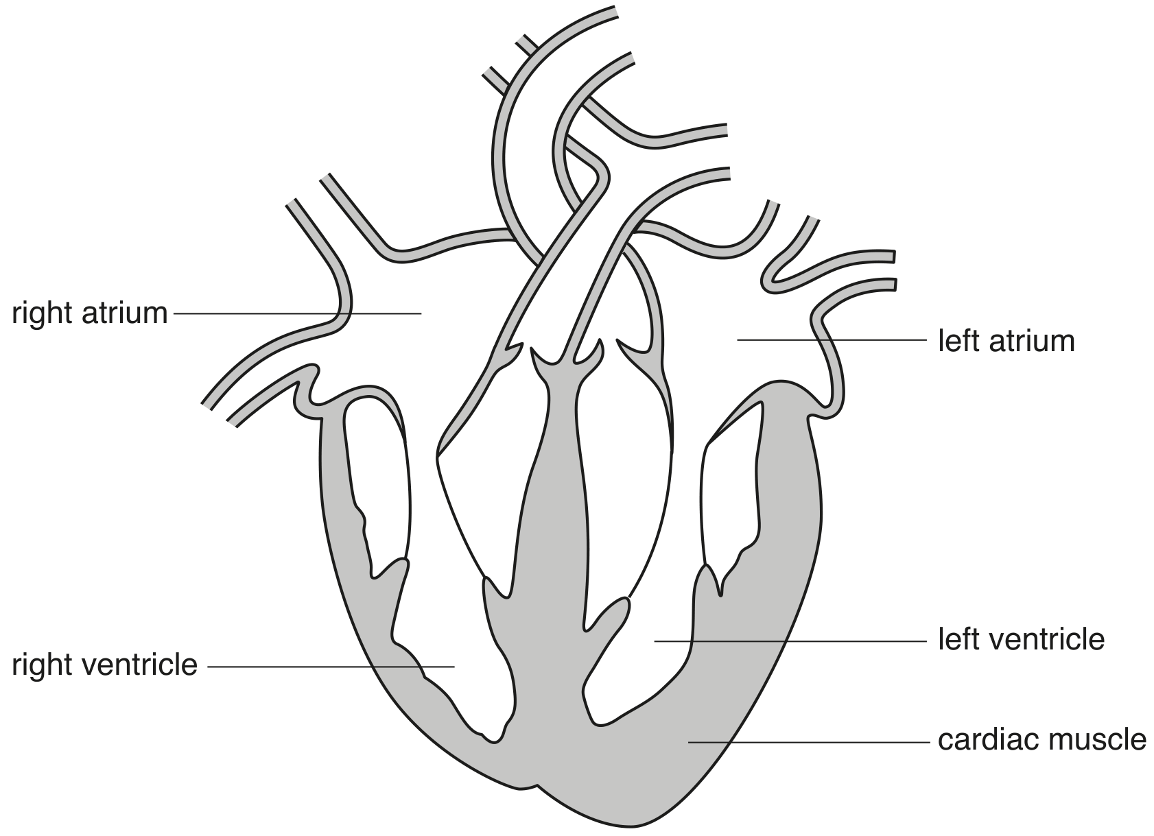 Fig. 4.1