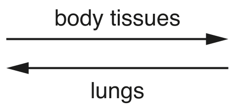 Fig. 2.1