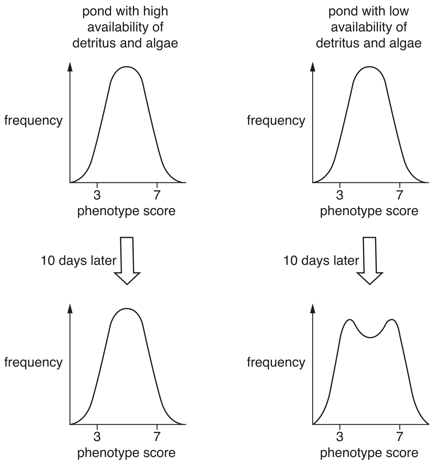 Fig. 4.2