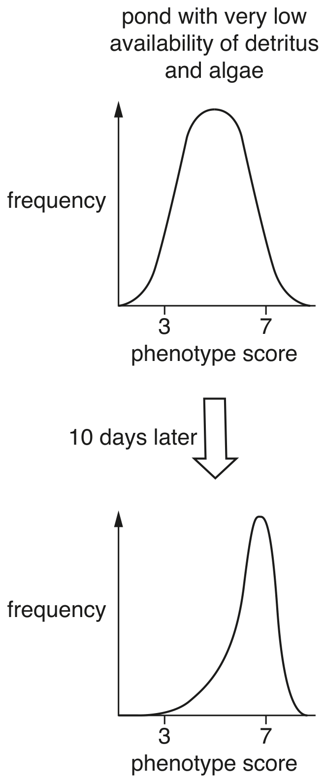 Fig. 4.4