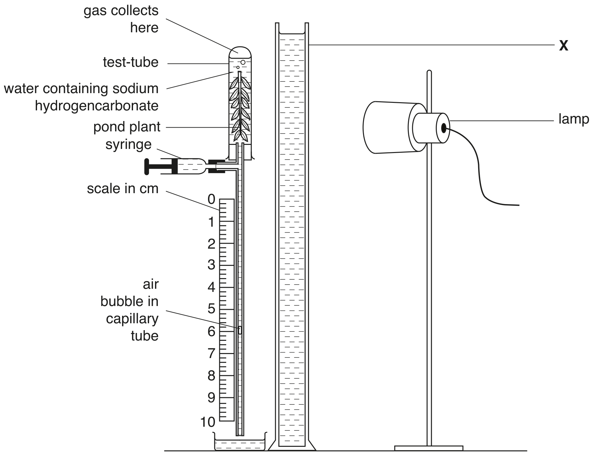 Fig. 1.1