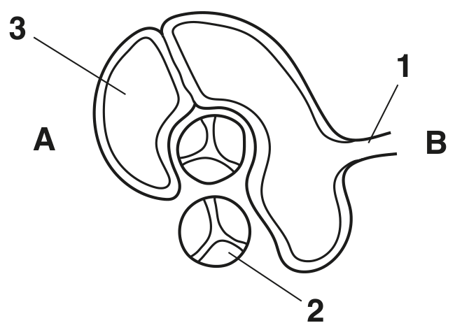 Fig. 5.2