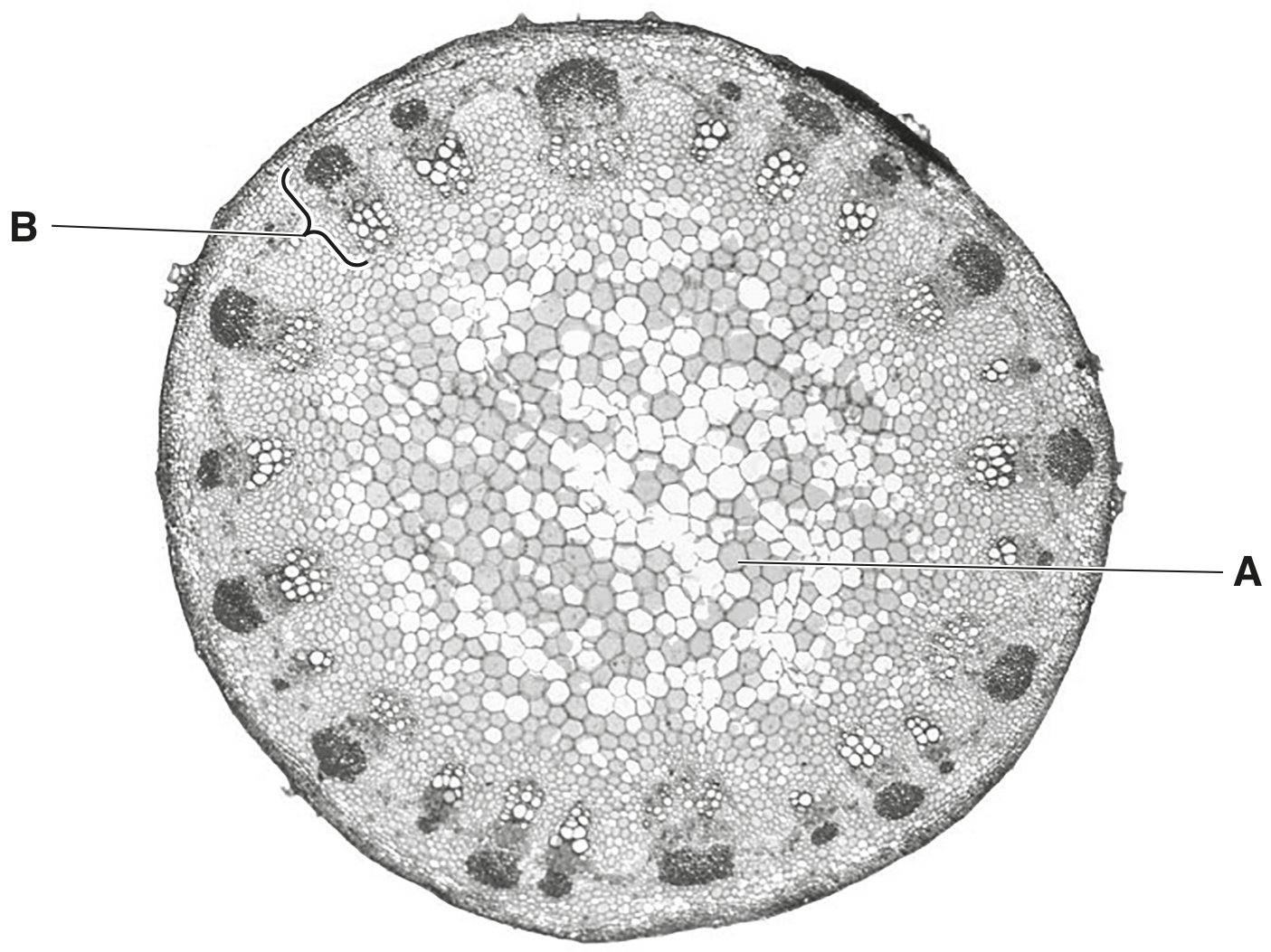 Fig. 1.1