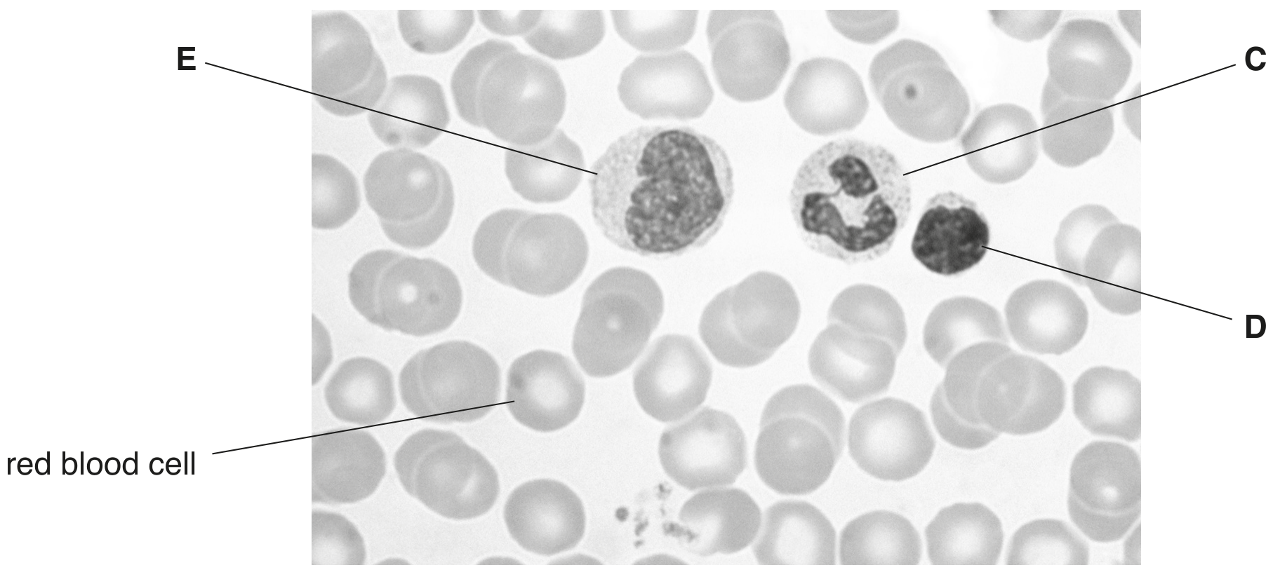 Fig. 3.1