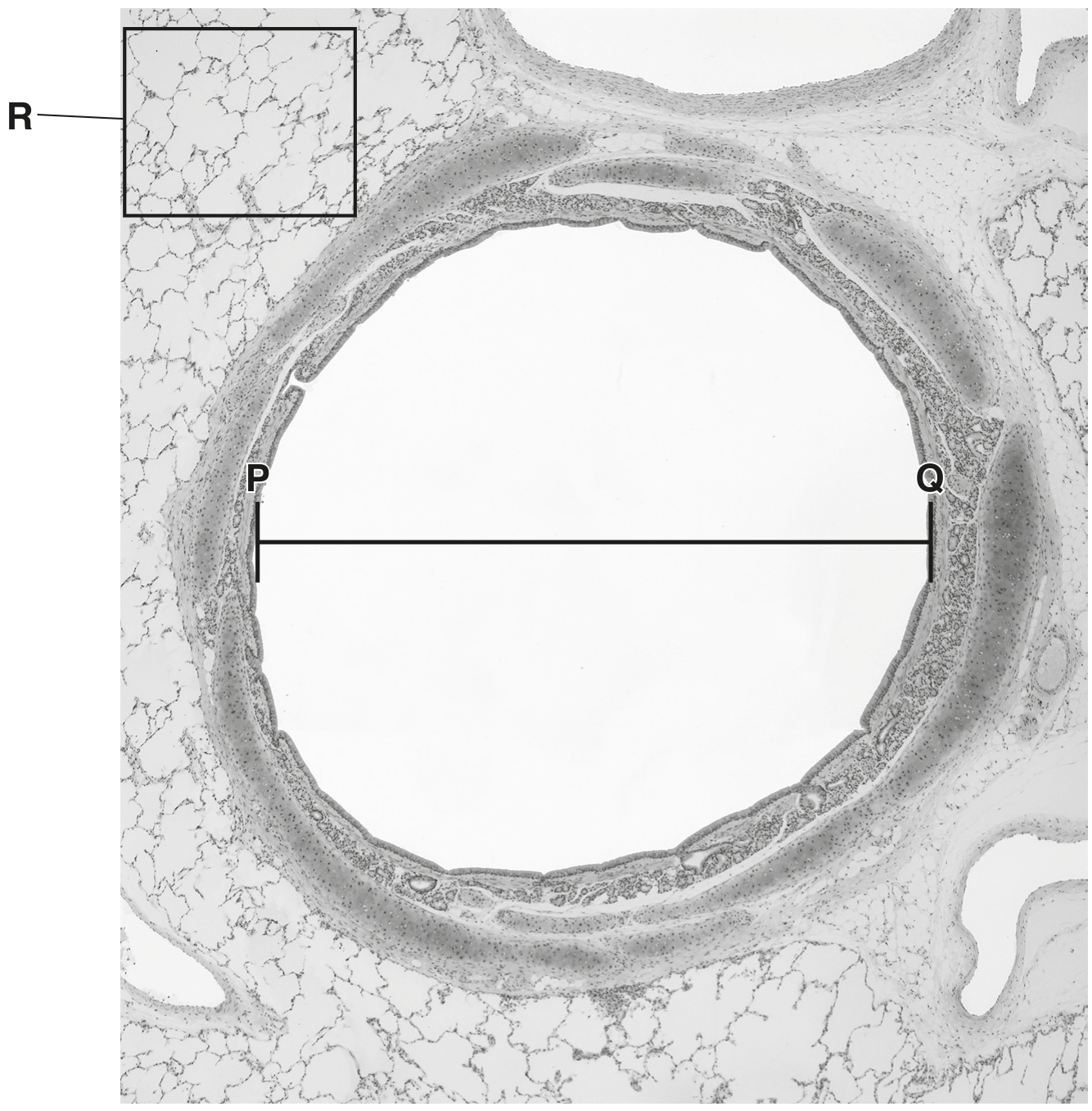 Fig. 2.1
