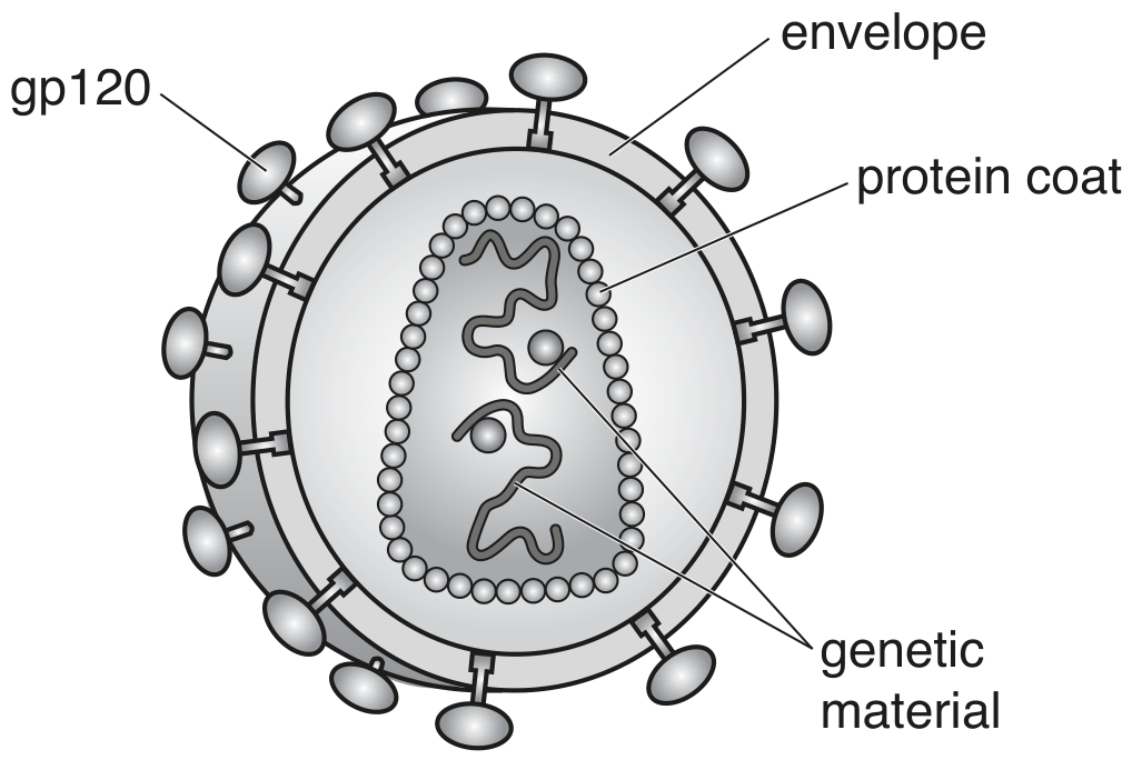 Fig. 3.1