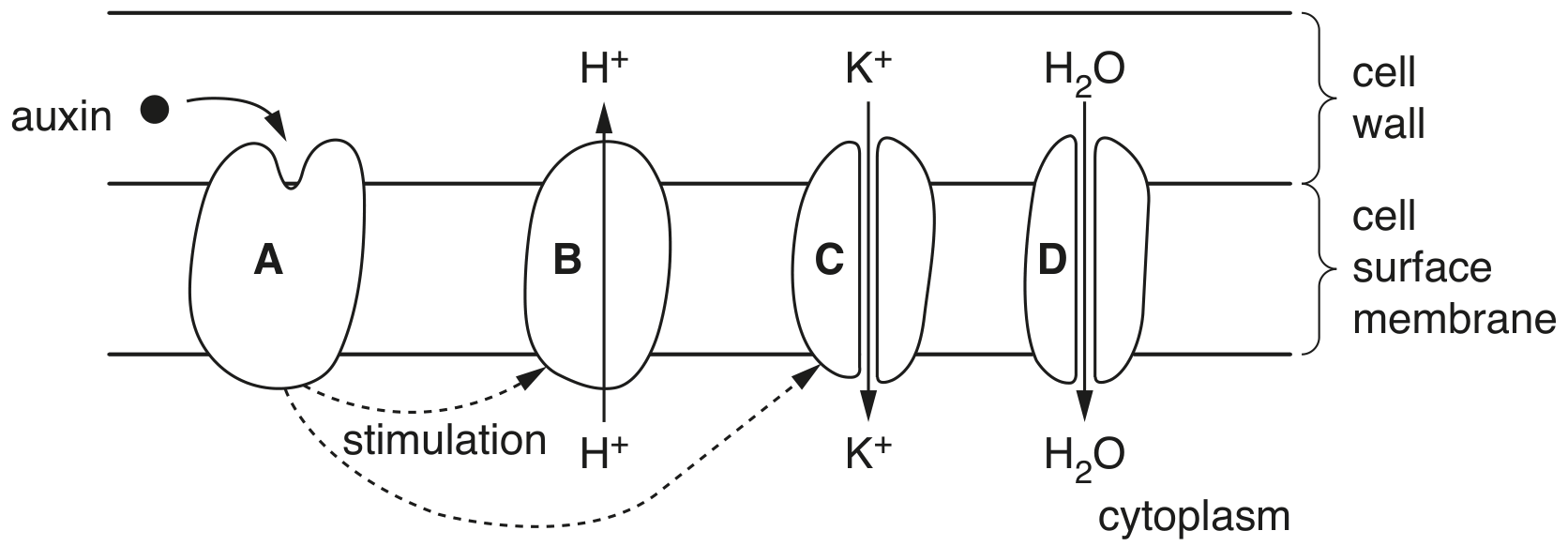 Fig. 1.1