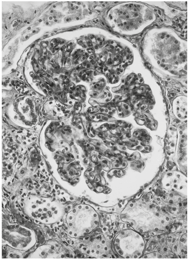 Fig. 5.1