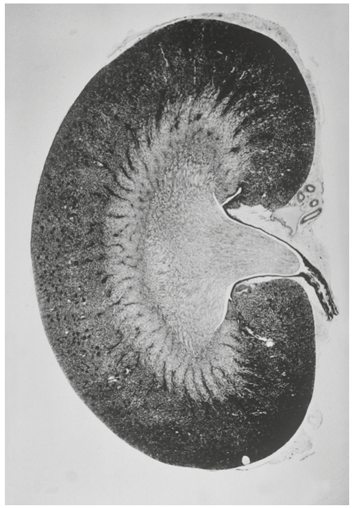 Fig. 5.1