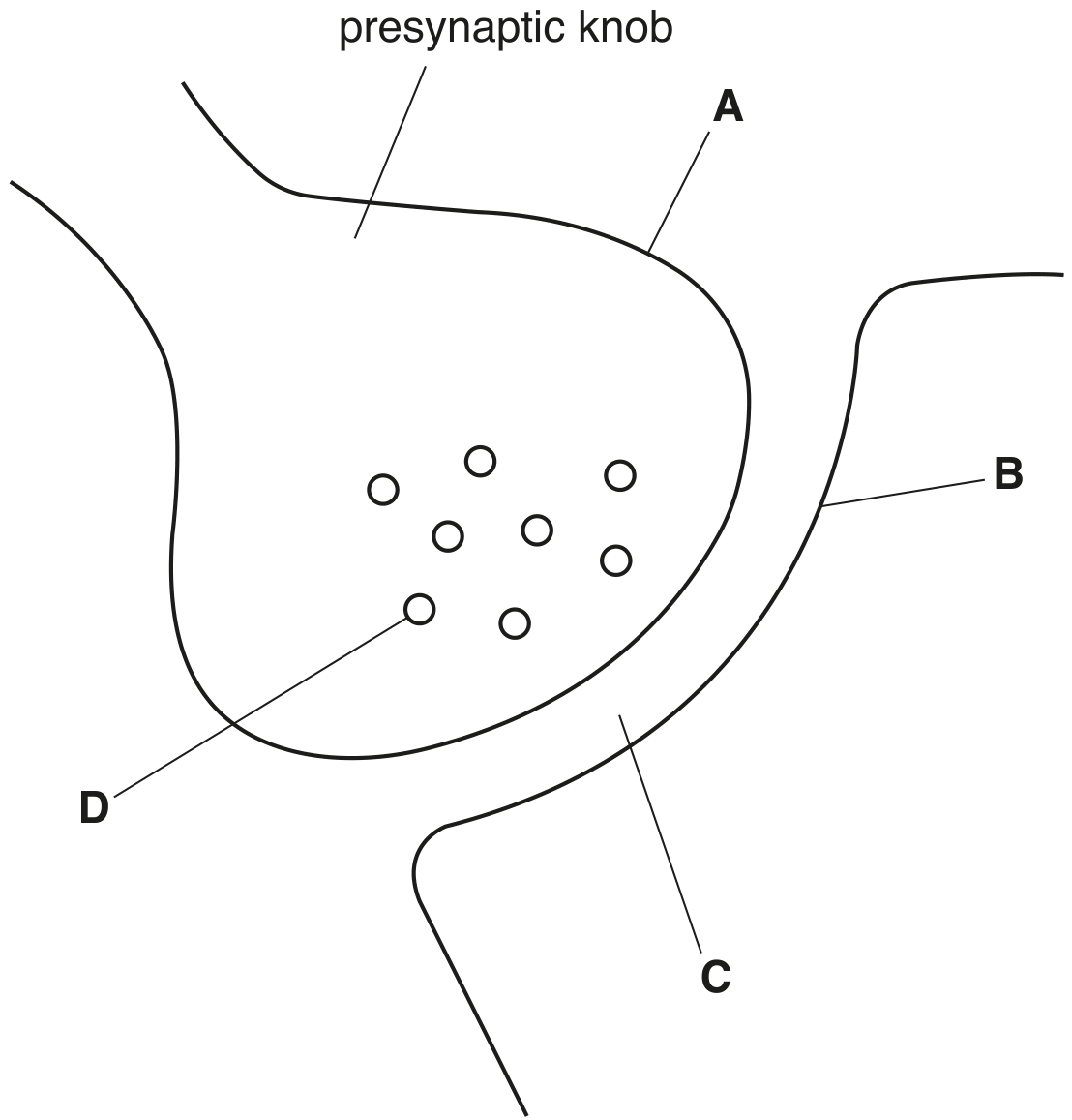 Fig. 1.1