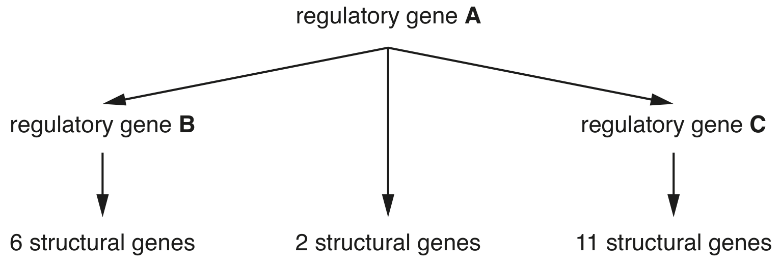 Fig. 3.2