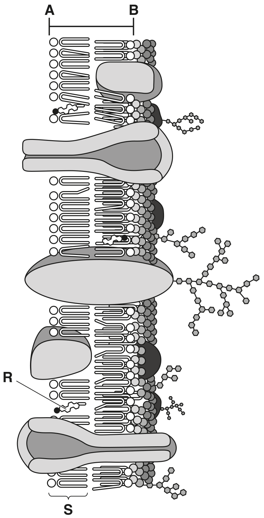 Fig. 6.1