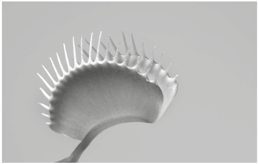 Fig. 7.1