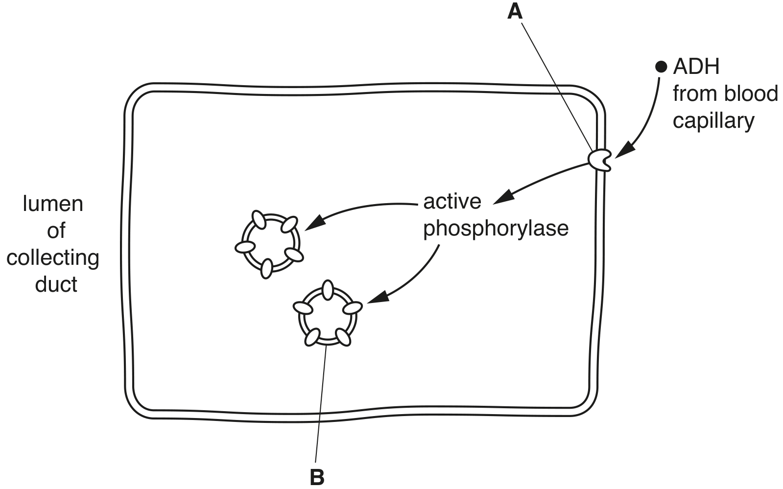 Fig. 1.1