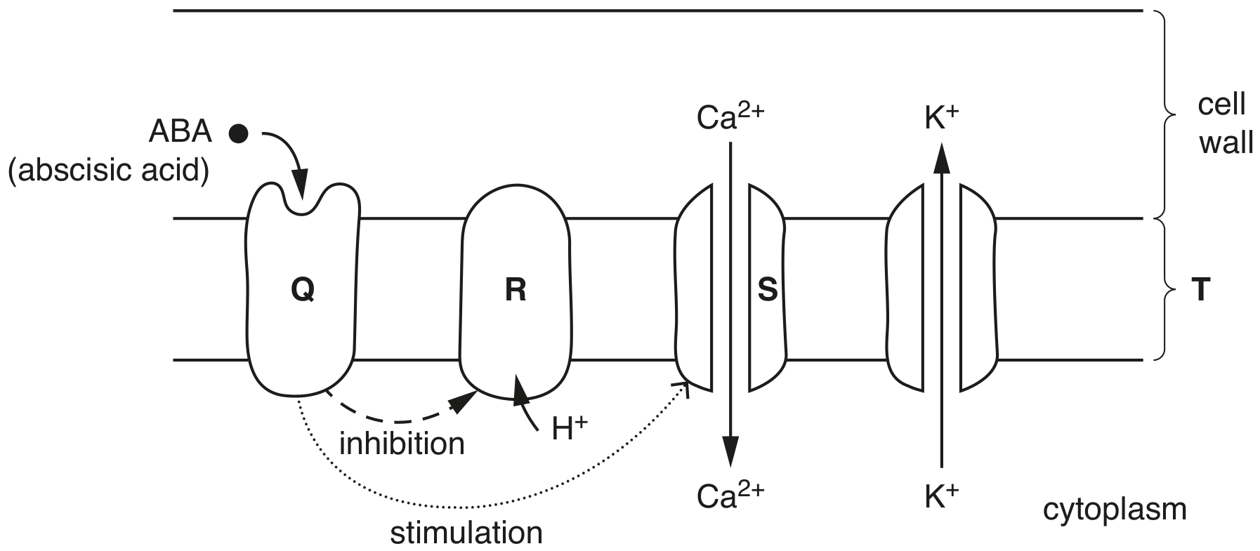 Fig. 1.1