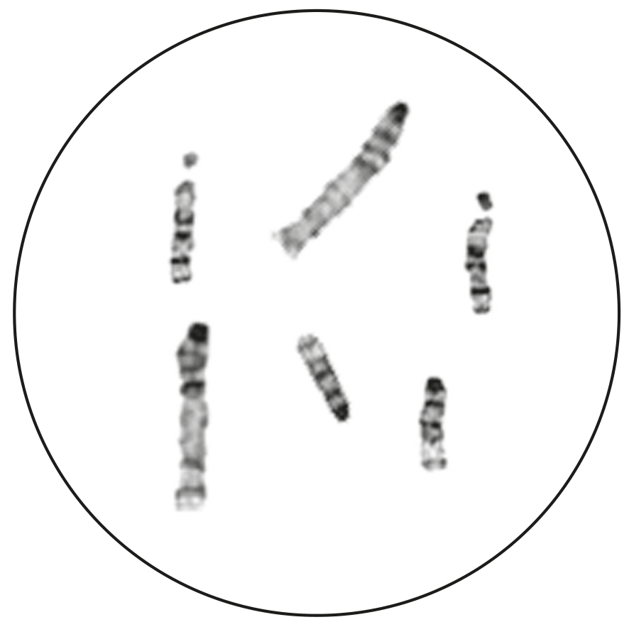Fig. 2.1