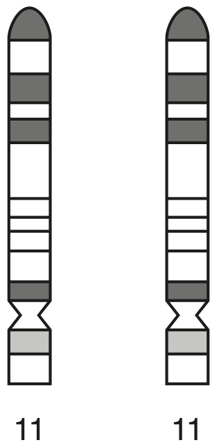 Fig. 2.2