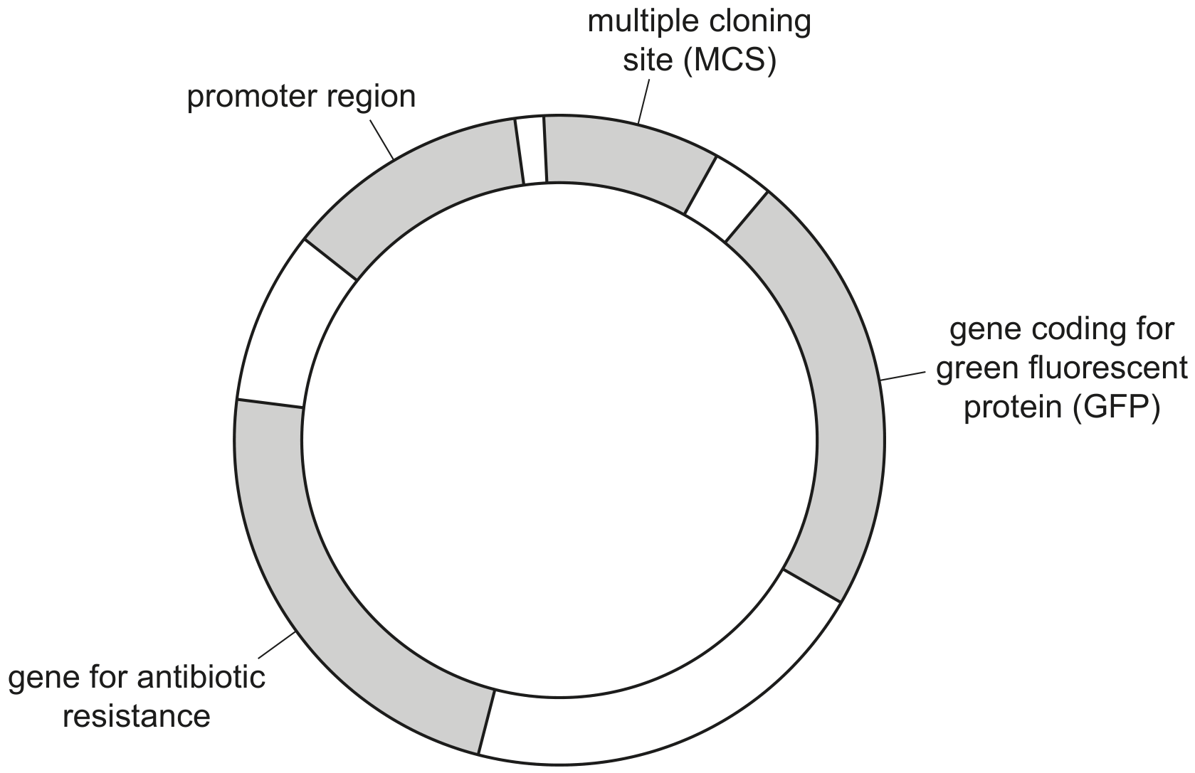 Fig. 5.1