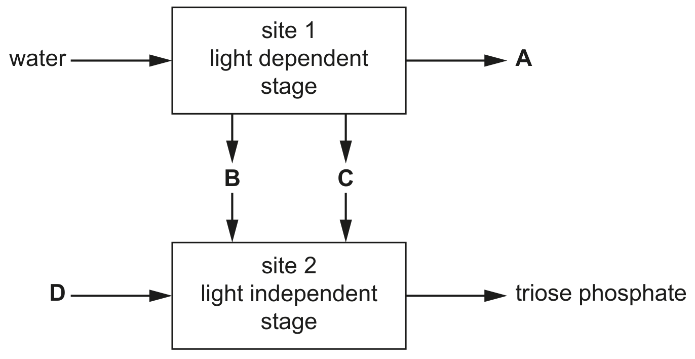 Fig. 7.1
