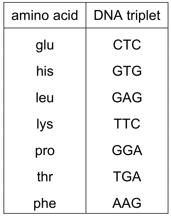 Table