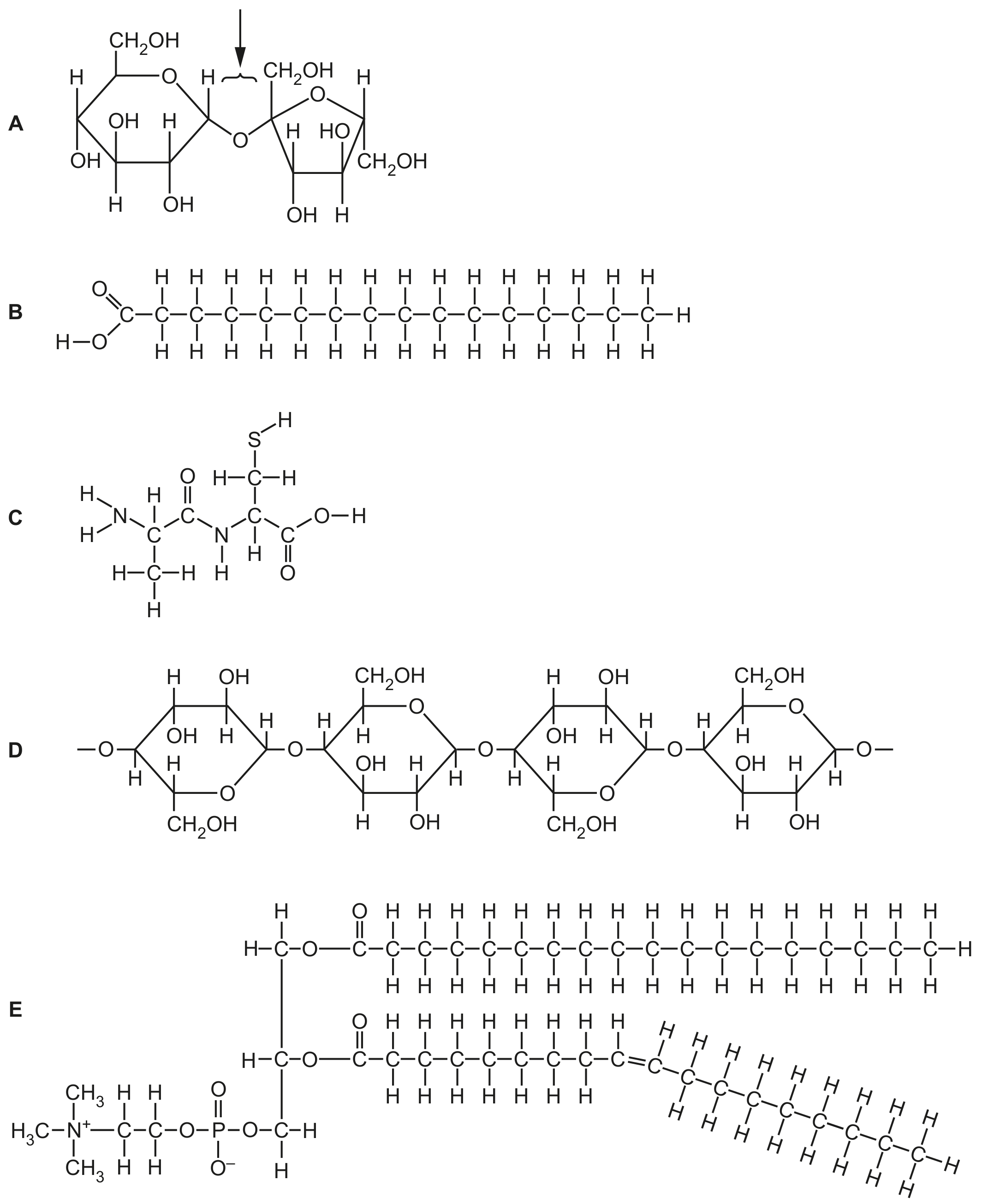 Fig. 1.1