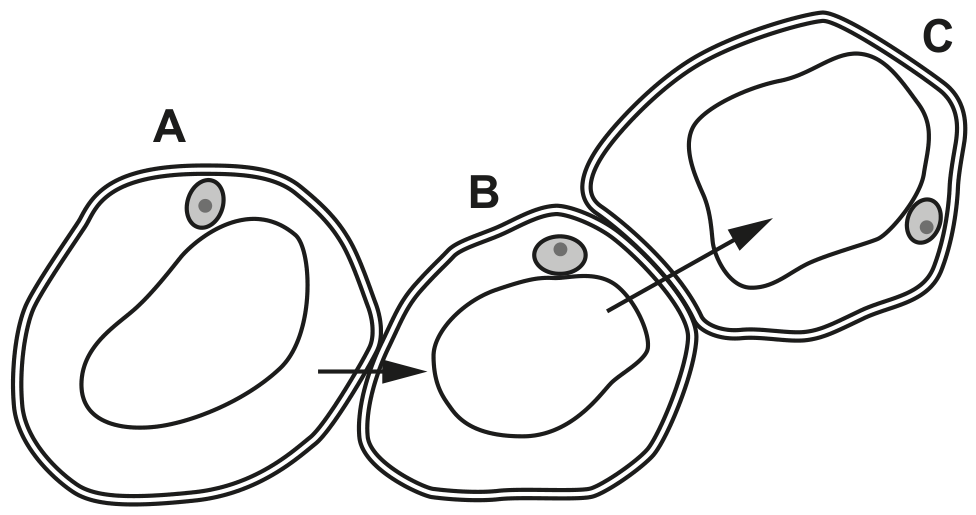 Fig. 1.2