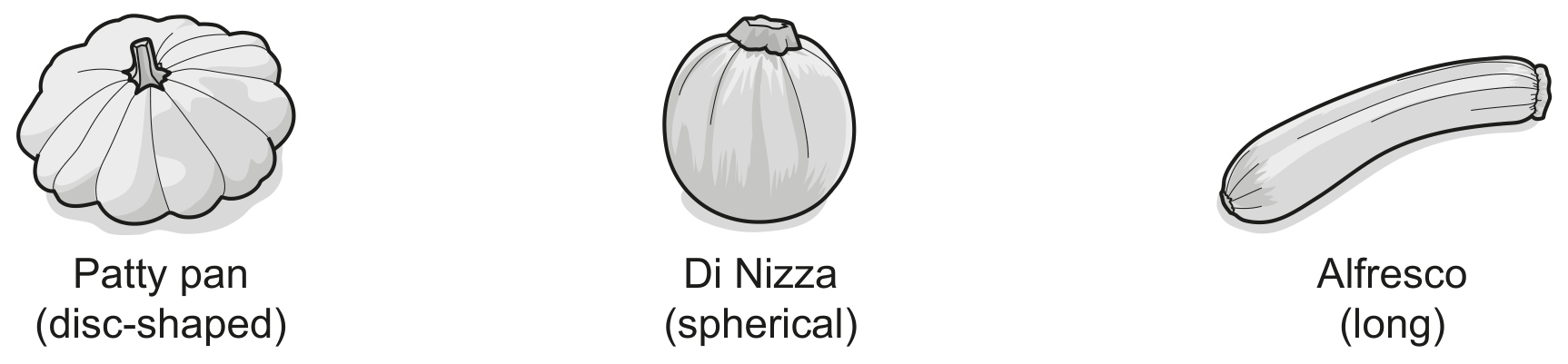 Fig. 2.1