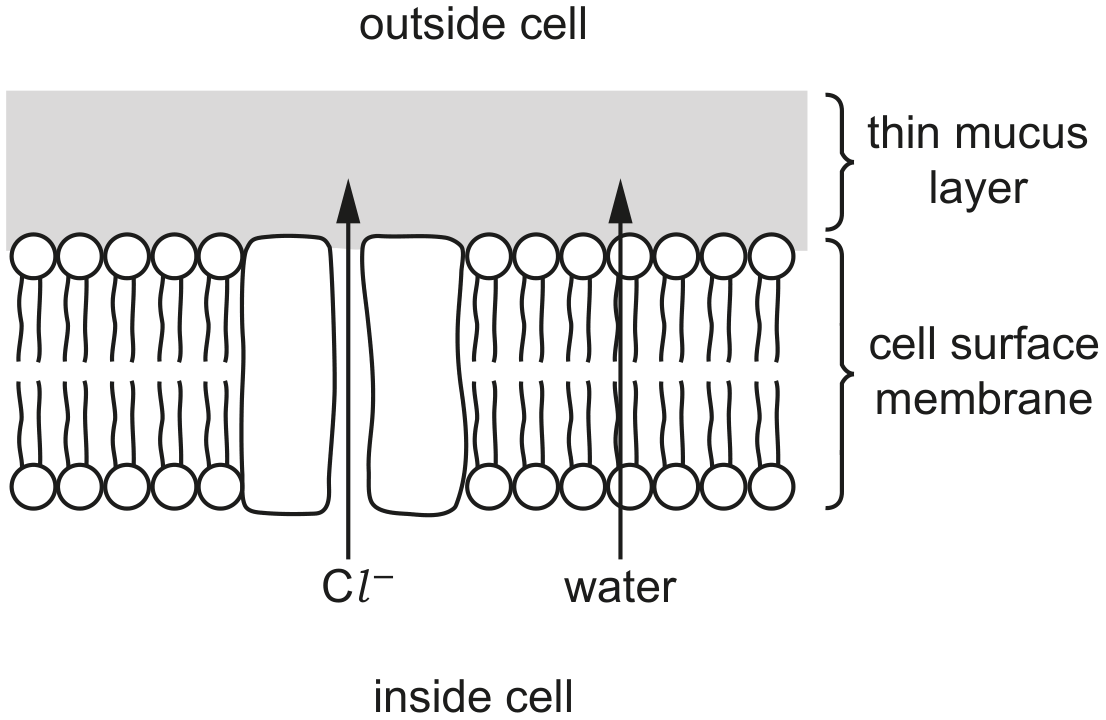 Fig. 4.1