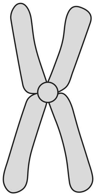 Fig. 1.1