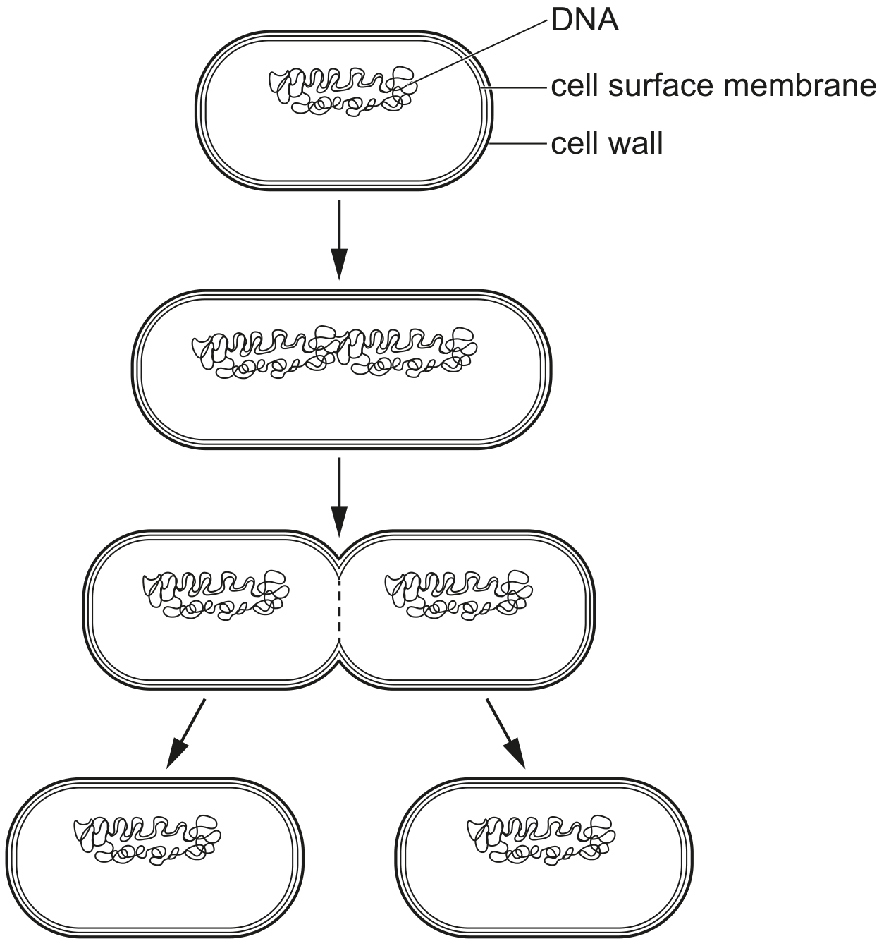 Fig. 1.2