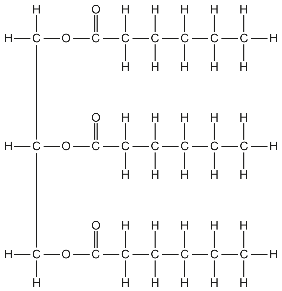 Fig. 2.1