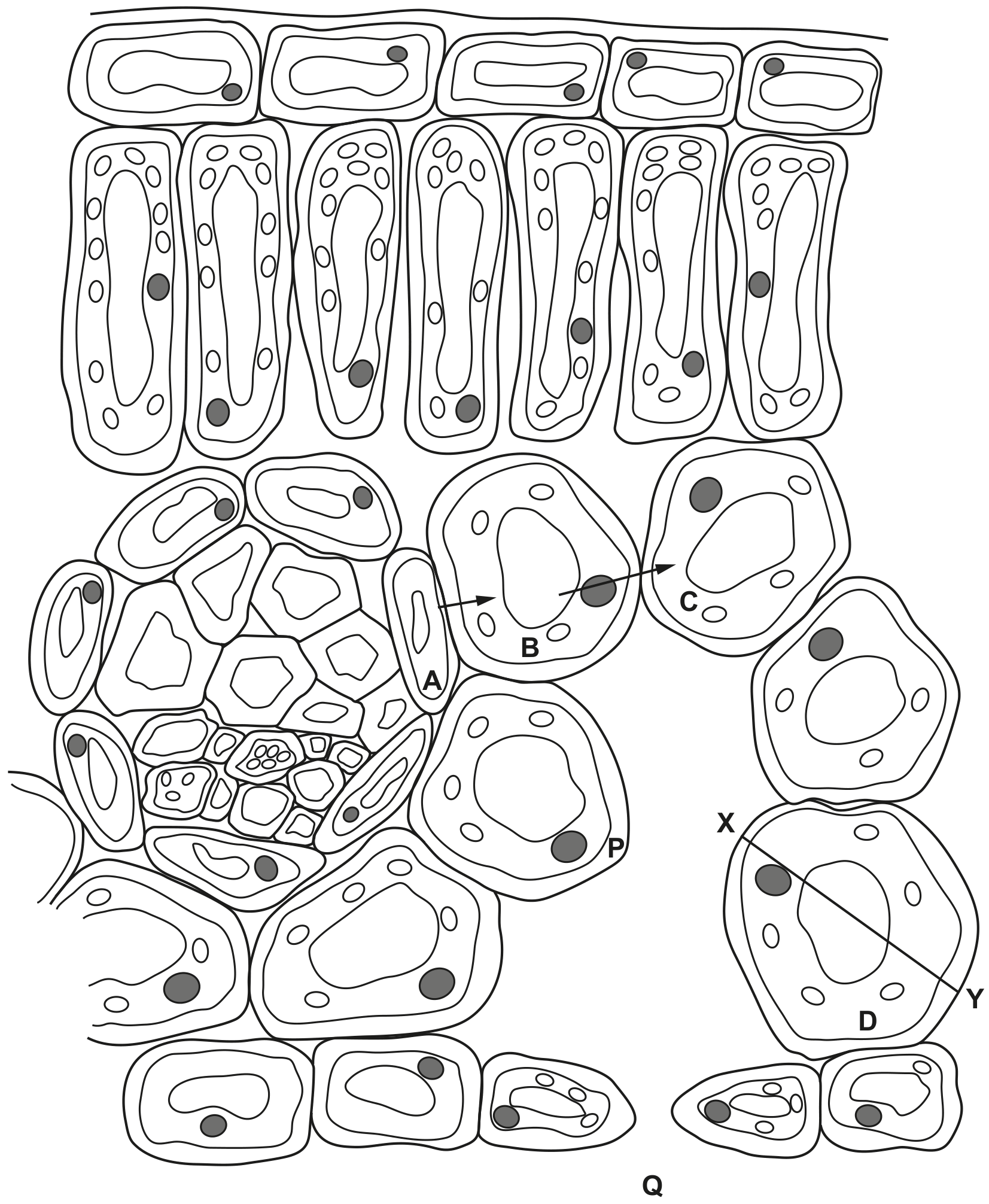 Fig. 1.1