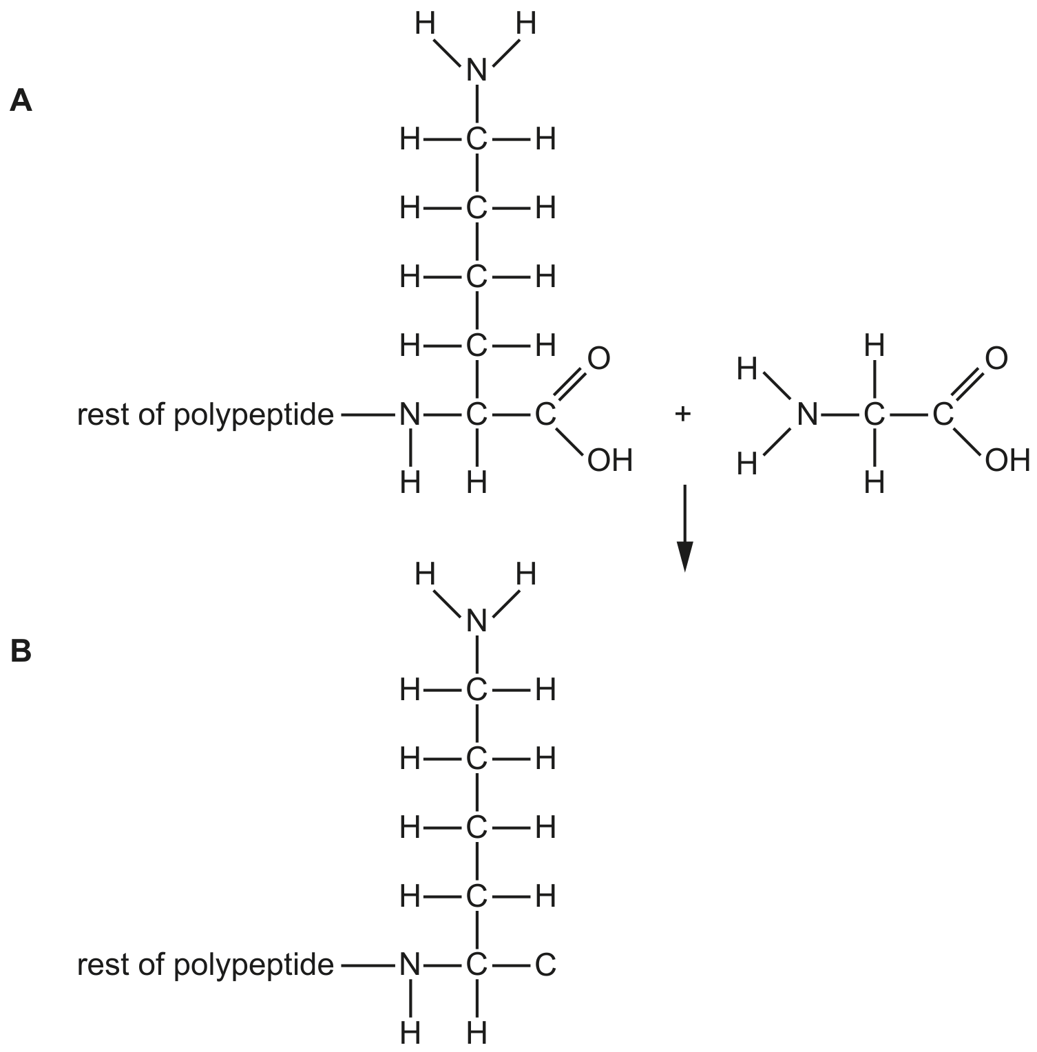 Fig. 5.1