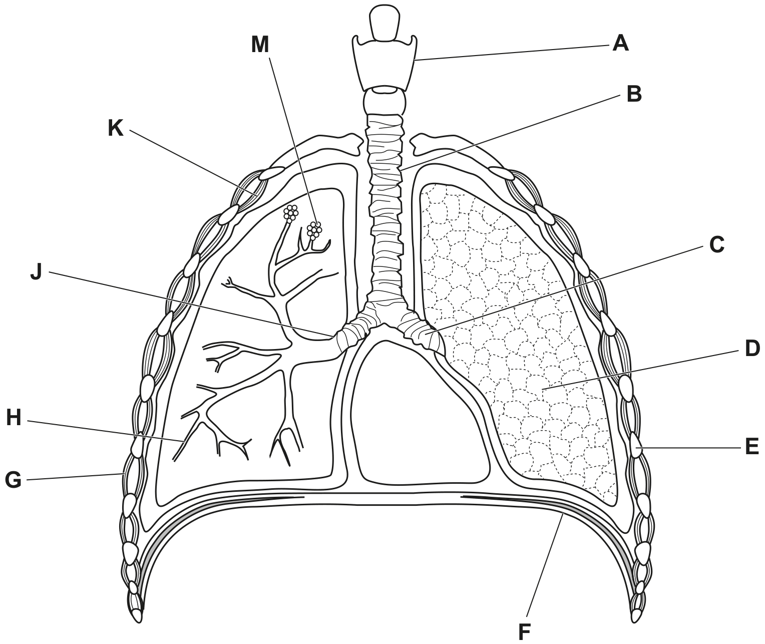 Fig. 1.1