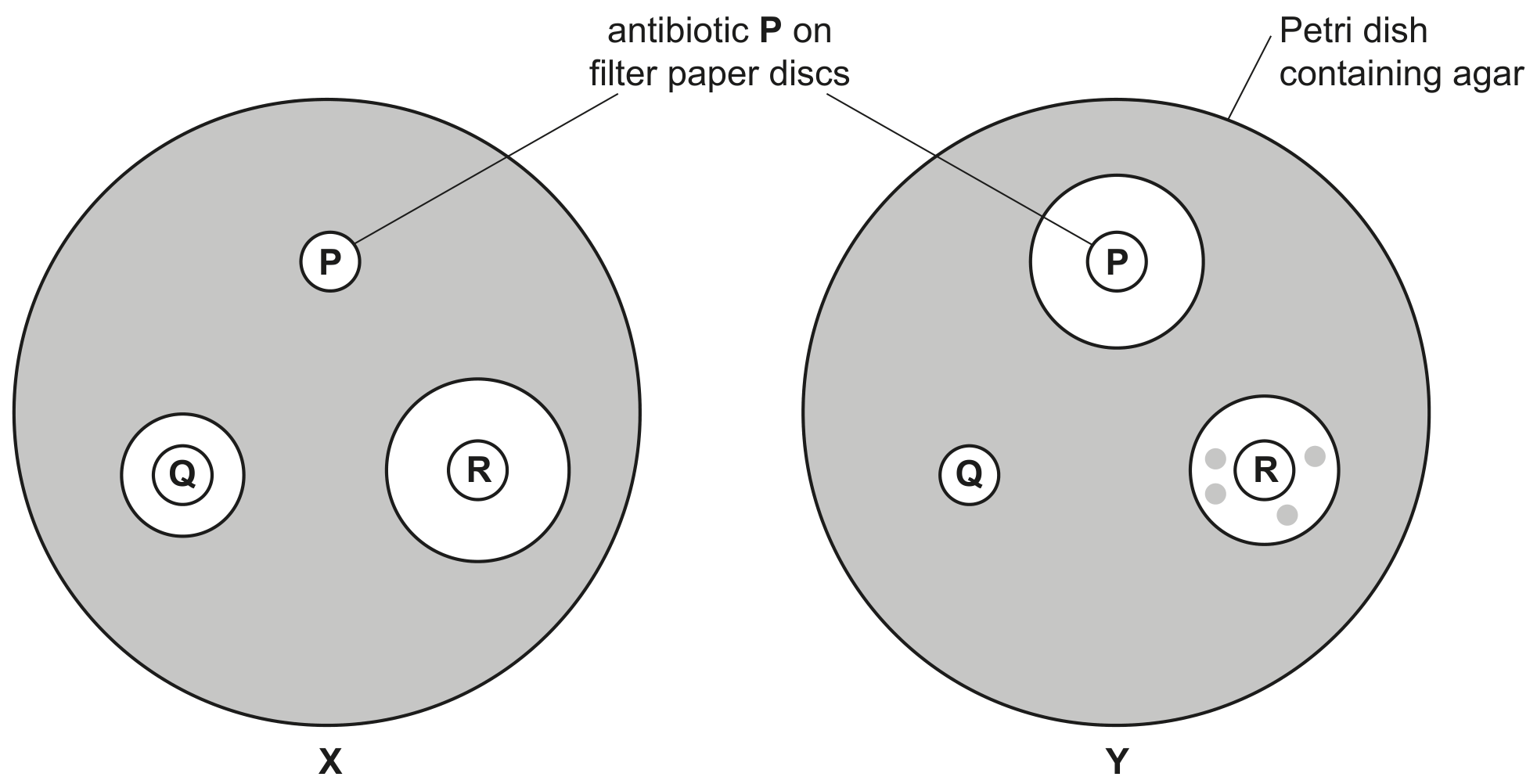 Fig. 4.1