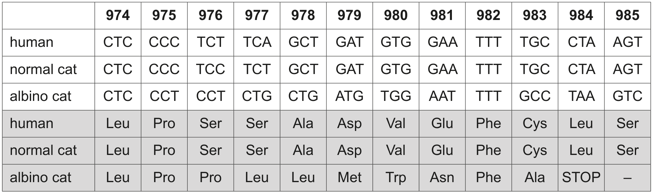 Table 5.1